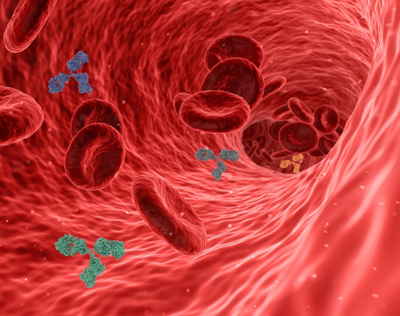 血液中的重要指標物質D二聚體的臨床應用